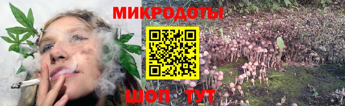 Ижевск  Псилоцибиновые грибы MAGIC MUSHROOMS  Галлюциногенные грибы мицелий  Вход с VPN 