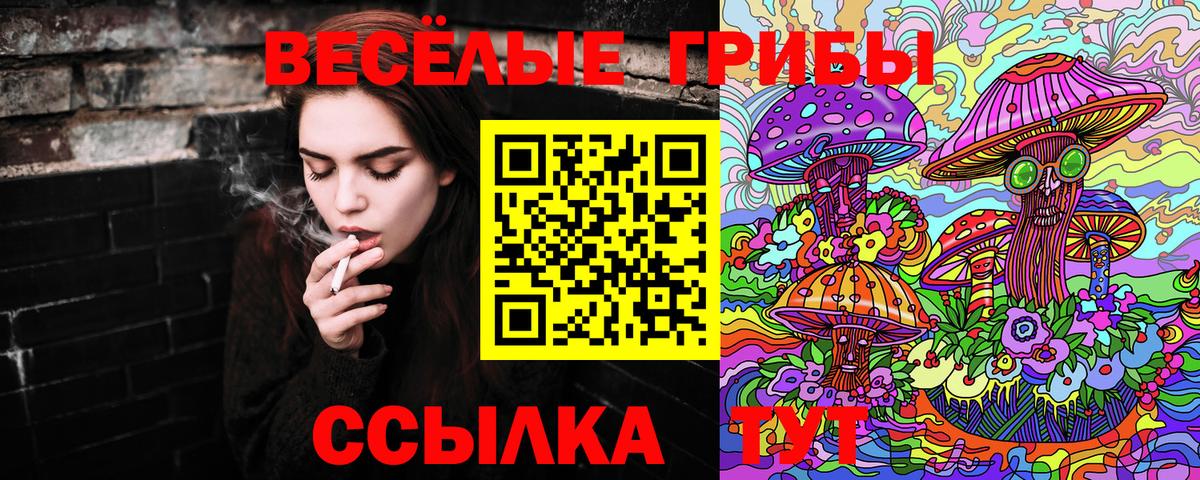 Галлюциногенные грибы Ижевск